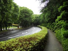 20100623 001.jpg