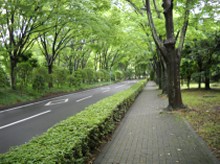 20100623 002.jpg