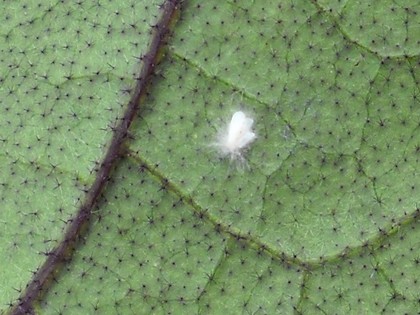 20100907 1.jpg
