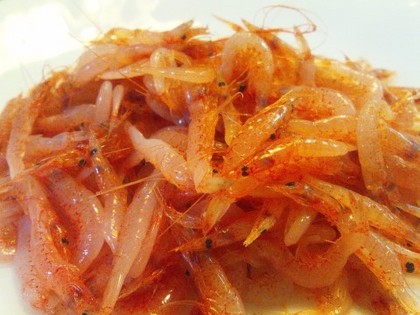 20111129さくらえび.jpg