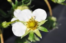 20111205 001.jpg
