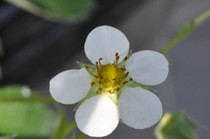 20111205 003.jpg