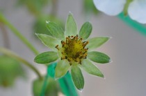 20111205 010.jpg