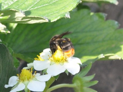 20111205 021.jpg