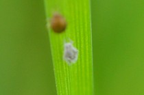 20111205 043.jpg