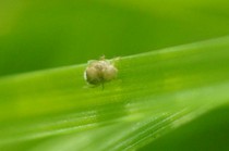 20111205 045.jpg