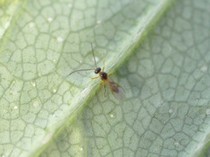 20111205 071.jpg