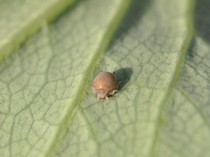 20111205 078.jpg