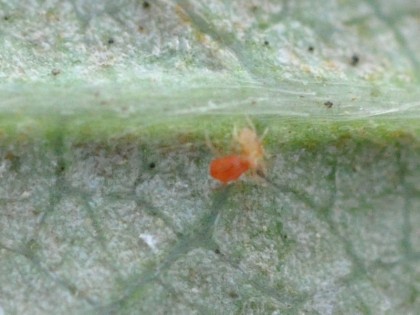 20111205 098.jpg
