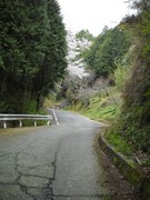 急坂4.jpg