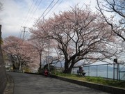 由比旧東海道2.jpg