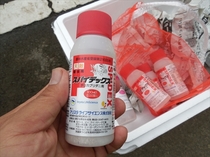 DSCN3154_R.JPG