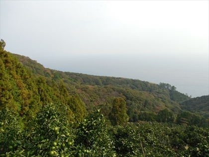 DSCN3247_R.JPG