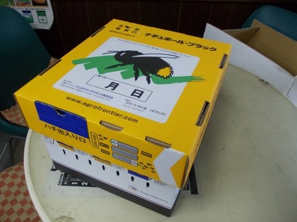 NPB 001.jpg