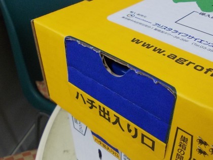 NPB 002.jpg