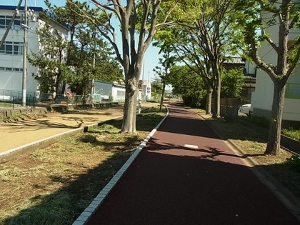 RIMG0243.jpg