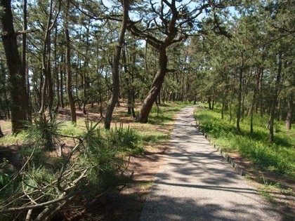 RIMG0253.jpg