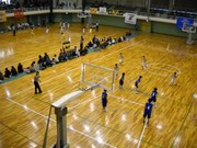 basket 012.jpg