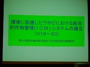 wasabi.jpg
