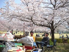 20110410柏谷公園の親父たち2.jpg