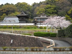 20110410清見寺2.jpg