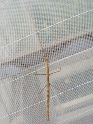 20110818.jpg
