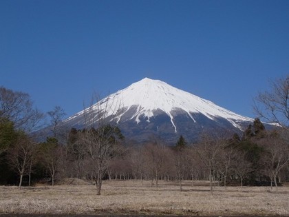 RIMG0063.jpg